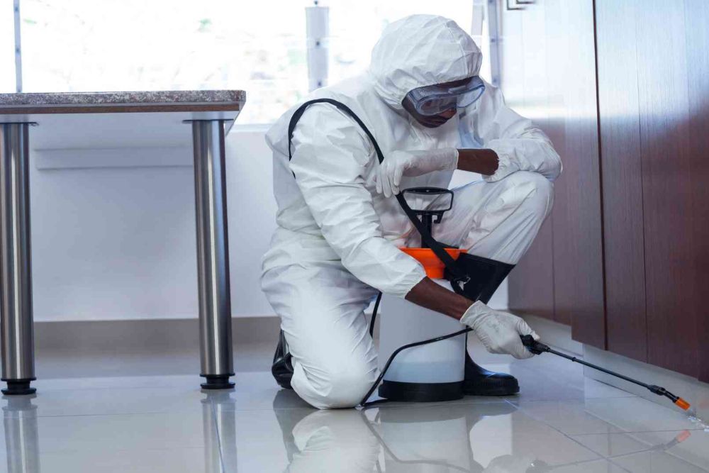 A man wearing a white protective suit sprays a room for pests, representing a pest control service in Los Angeles, CA.